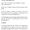Non compete and Non Solicitation Agreement for Employment-Employer - Image 4