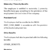 Employment Agreement for Junior Mid Level Staff simple form -Employer favoured with Probation Period (1) - Image 3