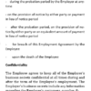 Employment Agreement for Junior Mid Level Staff simple form -Employer favoured with Probation Period (1) - Image 4