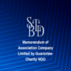 Memorandum of Association Company Limited by Guarantee-Charity NGO