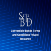 Convertible Bonds Terms and Conditions-Private Issuance