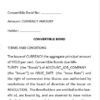 Convertible Bonds Terms and Conditions-Private Issuance - Image 2