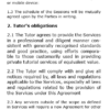 Private Tutor Agreement-Online Classes without platform - Image 3